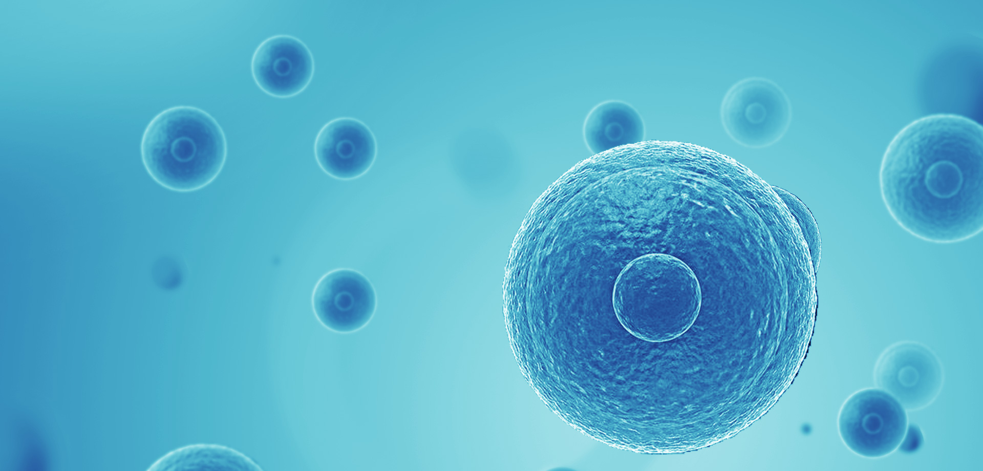 以患者需求為核心，驅動細胞免疫治療創新，實現癌癥可控化并最終治愈。